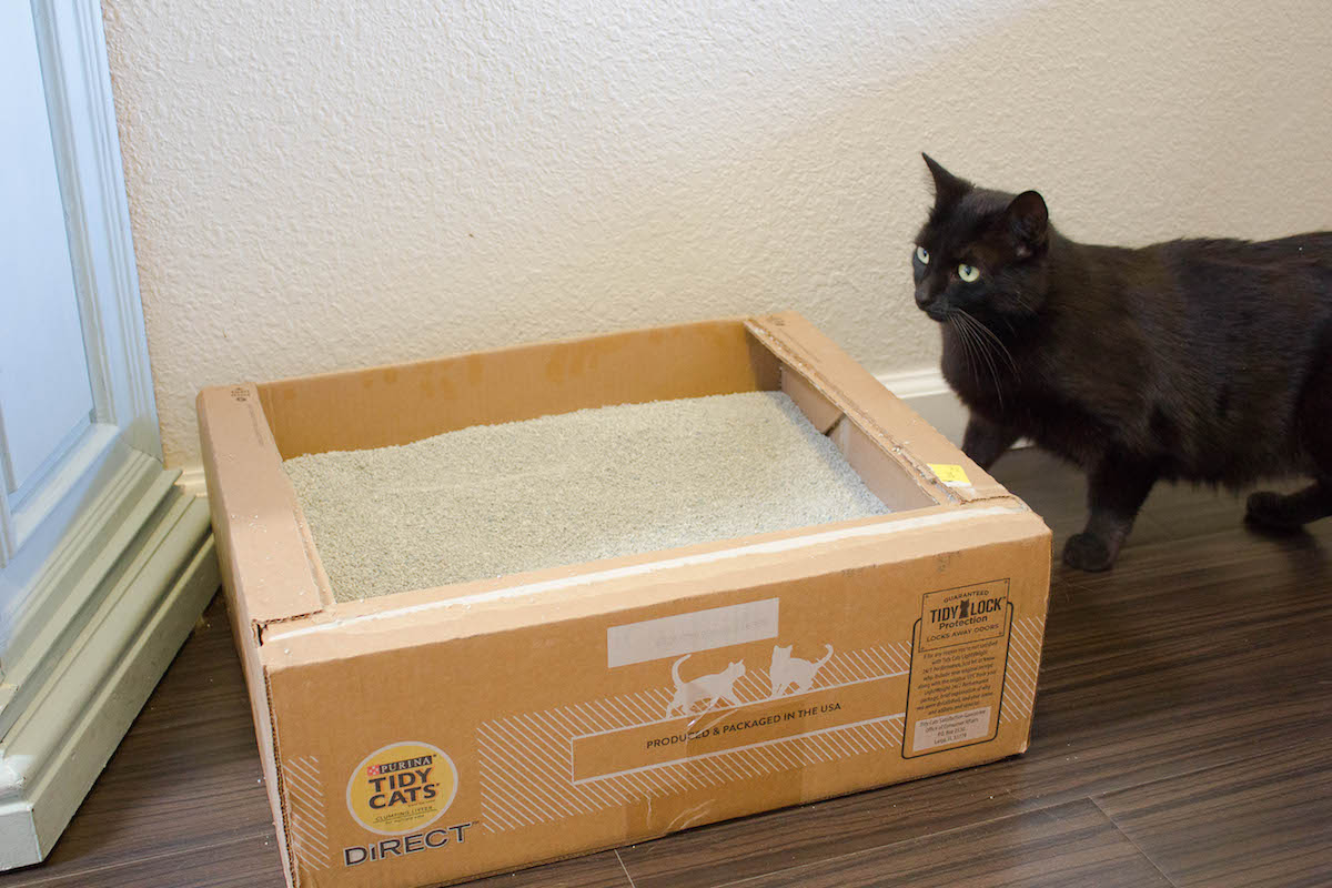 cats tidy litter box disposable direct